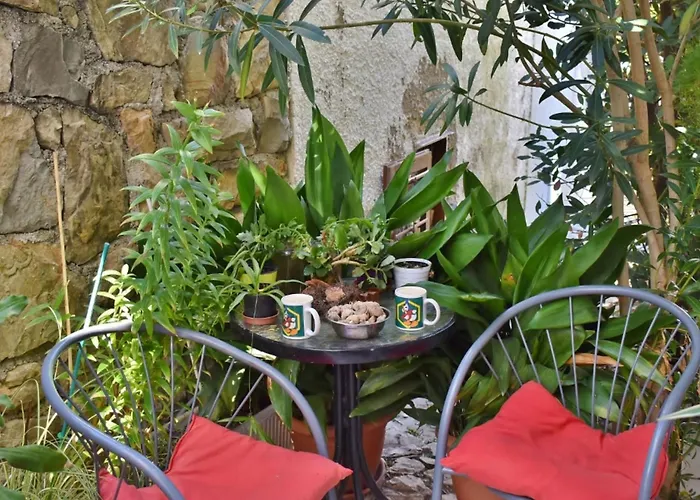 Daire Jug - With Balcony